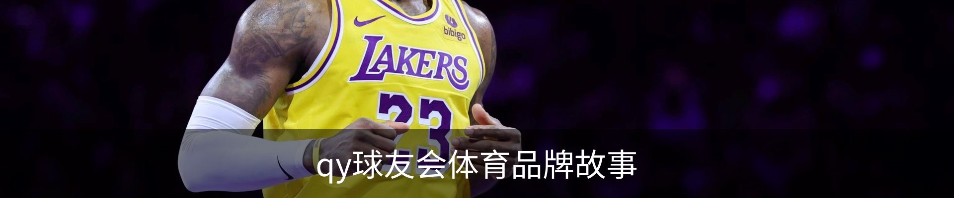 qy球友会体育品牌故事