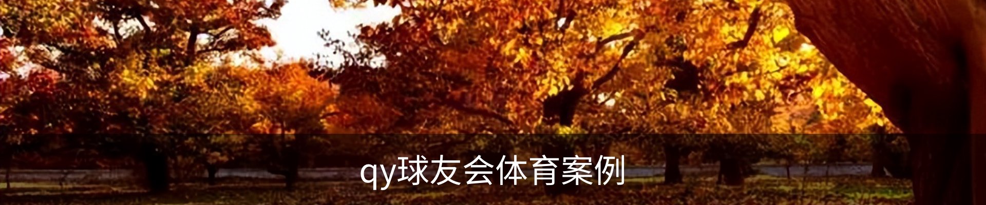qy球友会体育案例